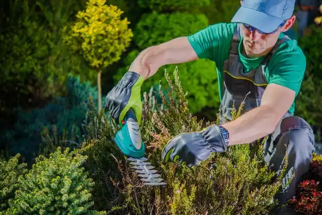 landscaping services Rye Brook
